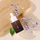 Untitled design (7).webp